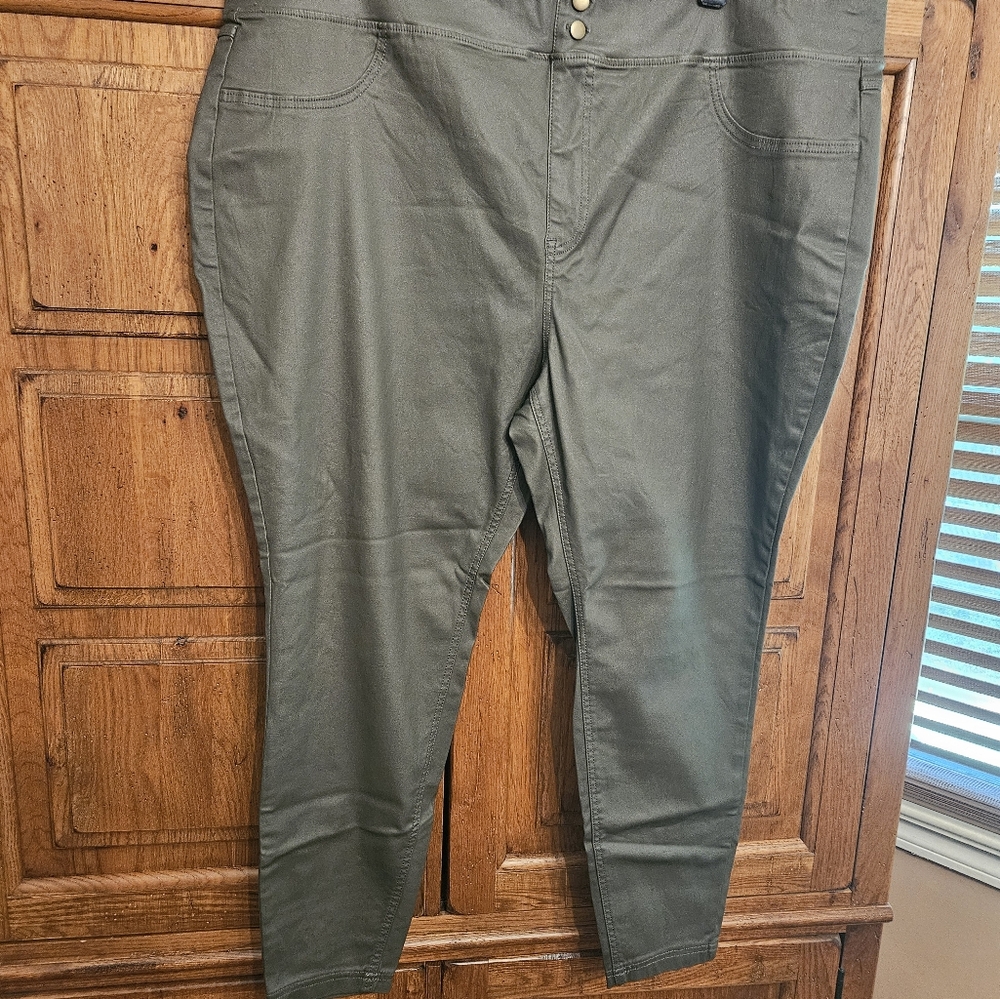 Terra & Sky new without tags   pants.